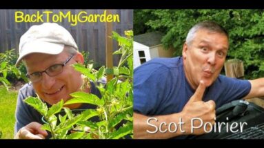 BTMG 064: You Just Gotta Grow It with Scot Poirier