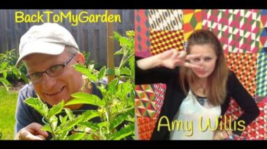 BTMG 070: Embracing Chaos in the Garden with Amy Willis
