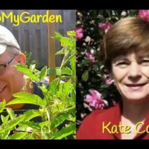 BTMG 072: The Neighborhood Herb Lady with Kate Copsey