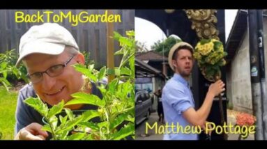 BTMG 073: The Tremendous Plantsman with Matthew Pottage