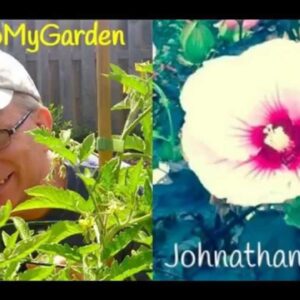 BTMG 074: Gardening With The Stars with Johnathan Lenard