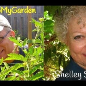 BTMG 089: How To Build Harmonious Lucky Gardens with Shelley Sparks