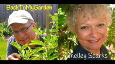BTMG 089: How To Build Harmonious Lucky Gardens with Shelley Sparks