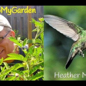 BTMG 092: Your Dream Garden with Heather McLean