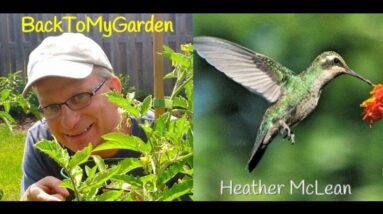 BTMG 092: Your Dream Garden with Heather McLean