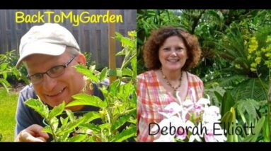 BTMG 093: Alabama Gardening Tips with Deb Elliott