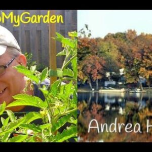 BTMG090 Gardening In Michigan with Andrea Hughes