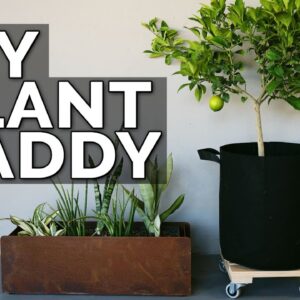 Build a DIY Plant Caddy for Under $30