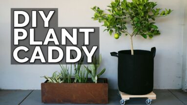 Build a DIY Plant Caddy for Under $30