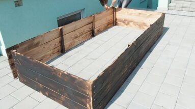 Building a raised bed and early gardening in 2019