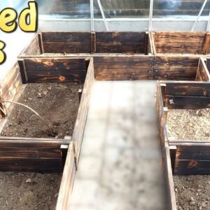 Building Some RAISED Beds For My Greenhouse