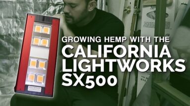 California Lightworks SolarXtreme 500 Review + Growing Hemp!