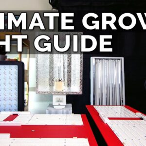How to Choose a Grow Light: T5  Fluorescent vs. CMH vs. LED Grow Lights Explained