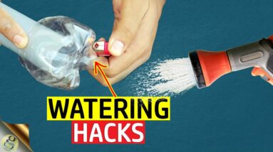 7 BEST GARDEN HACKS TO WATER YOUR PLANTS ON A VACATION | PLASTIC BOTTLE HACKS FOR GARDEN