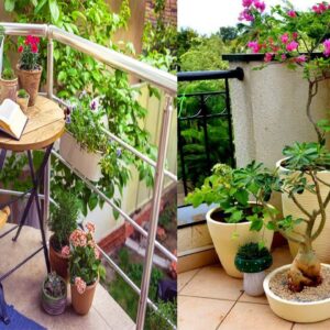 Creative Balcony Garden design Ideas for Small Spaces