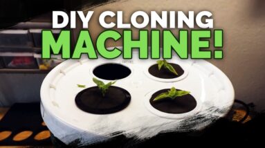 DIY Cloning Machine: Two EASY Ways to Build a Propagation Station