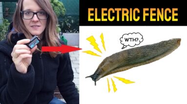 DIY Electrical Snail and Slug Fence