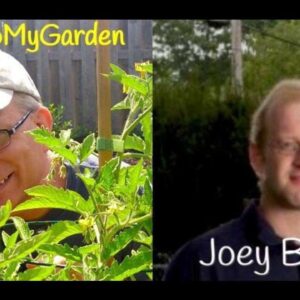BTMG 083: The Return Of The Wisconsin Vegetable Gardener with Joey Baird  Read more: http://backtomy