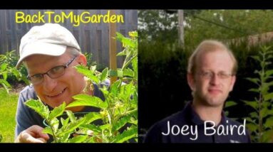 BTMG 083: The Return Of The Wisconsin Vegetable Gardener with Joey Baird  Read more: http://backtomy