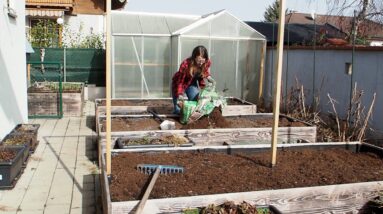 Early Spring Gardening in February 2021