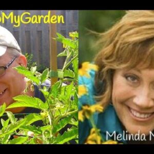 BTMG 084: The Queen of Green with Melinda Myers  Read more: http://backtomygarden.com/podcast/btmg-0