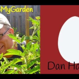 BTMG 081: The 21-Year-Old Garden Design Phenom with Dan Handley  Read more: http://backtomygarden.co