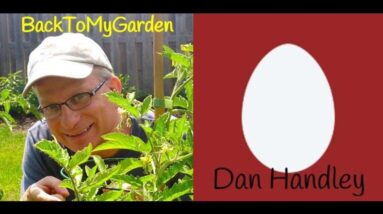BTMG 081: The 21-Year-Old Garden Design Phenom with Dan Handley  Read more: http://backtomygarden.co