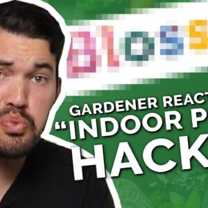 Gardener Roasts Dumb "Indoor Gardening Hacks"