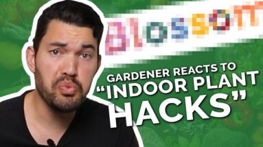 Gardener Roasts Dumb "Indoor Gardening Hacks"