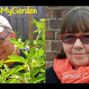 Gardeners Are In Zonal Denial with Susan Cohan