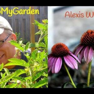 Gardening Horror Stories with Alexis Watters