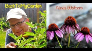 Gardening Horror Stories with Alexis Watters