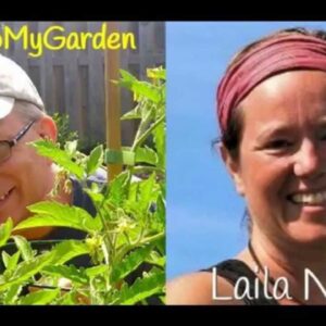 Gardening Tips From Belgium with Laila Noort