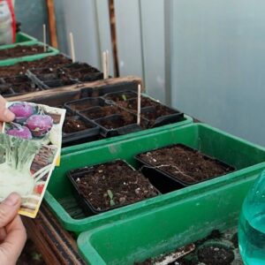 Growing Plants From Seeds - No Green Thumb needed! (March 2021)