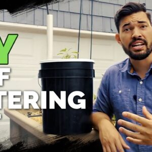 How to Build a Self Watering Pot For $10 😱