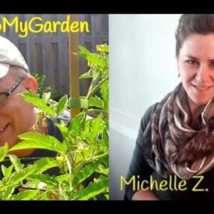 How To Create Magic In The Garden with Michelle Donahue