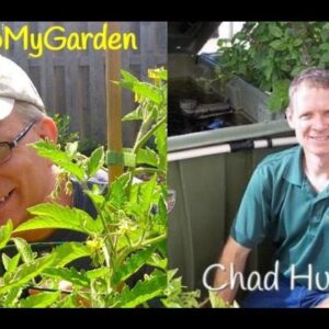 How To End World Hunger Through Aquaponics with Chad Huspeth