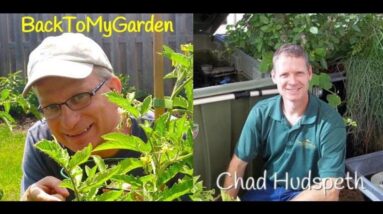 How To End World Hunger Through Aquaponics with Chad Huspeth