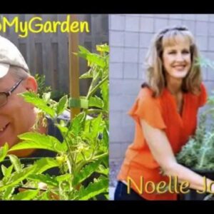How To Garden In The Drought with Noelle Johnson