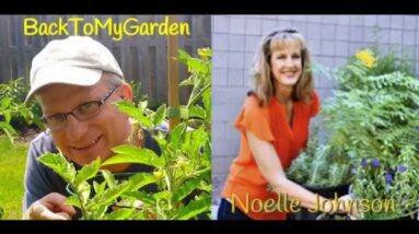 How To Garden In The Drought with Noelle Johnson