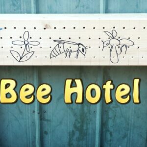 How To Make A Bee hotel