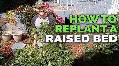 How to Replant and Prepare Raised Beds For Spring