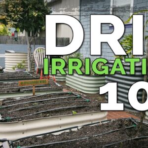 Installing a Drip Irrigation System for Raised Beds 💦 (Before & After)