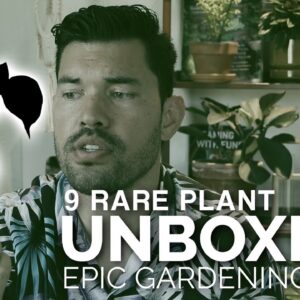 I've Been Trying to Get This Plant for a YEAR! Rare Houseplant Unboxing