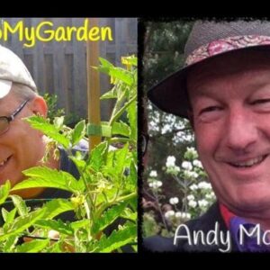 Learning Horticulture In A Virtual World with Andy McIndoe