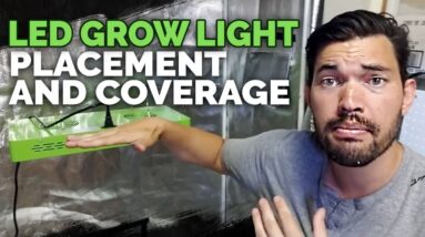 LED Grow Light Placement and Coverage (Mars Hydro Review)