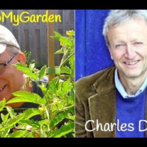 Loving Salad Growing Salad with Charles Dowding