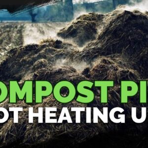 Making Compost: What To Do If Your Pile Isn't Heating Up!