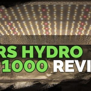 Mars Hydro TS 1000: A Surprisingly Good Grow Light For The $