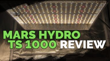 Mars Hydro TS 1000: A Surprisingly Good Grow Light For The $